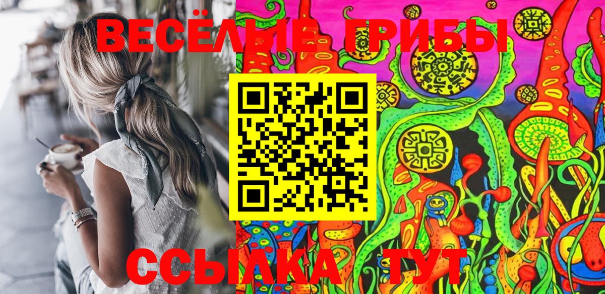 Псилоцибиновые грибы Psilocybe Жуковский