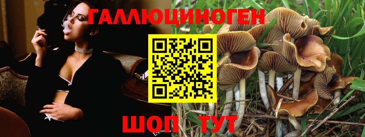 Псилоцибиновые грибы Cubensis  Вход с VPN  Жуковский 